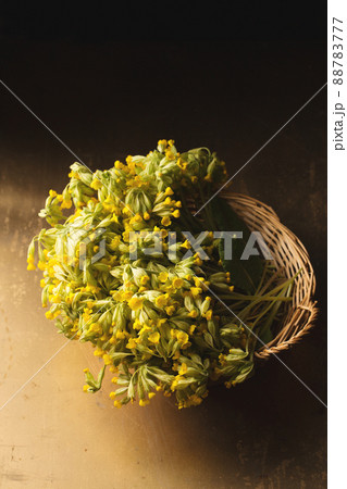 Bouquet of primrose Bouquet of primrose 88783777