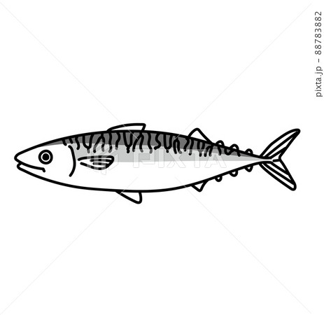 食べ物 素材 白黒 イラスト さばのイラスト素材 78