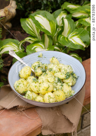 Boiled young potatoes with dill and garlic 88783986