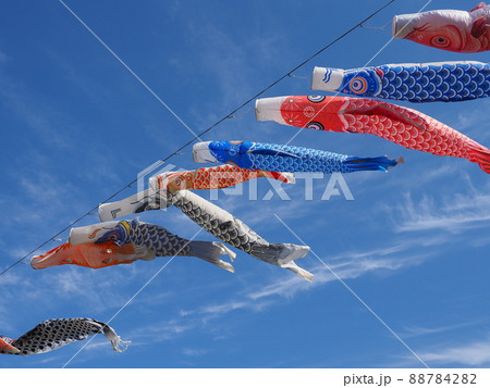 青空を泳ぐ色とりどりのこいのぼり 88784282