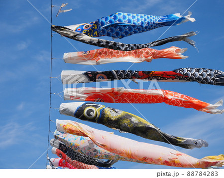 青空を泳ぐ色とりどりのこいのぼり 88784283