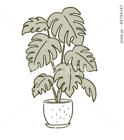 植物の鉢植え　部屋のインテリアのイラストレーション 88784287