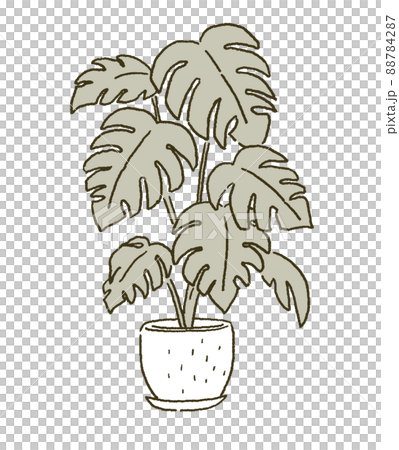 植物の鉢植え　部屋のインテリアのイラストレーション 88784287