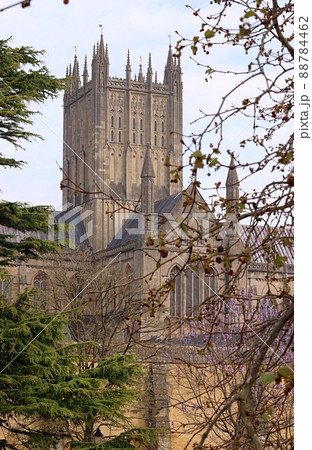 Wells cathedral through the trees 88784462
