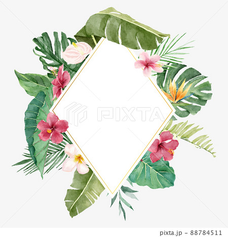 Bright Summer Illustration with Tropical Flowers and Leaves 88784511