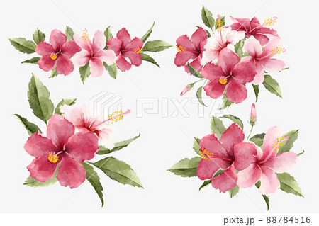 Watercolor Tropical Hibiscus Flower Bouquets 88784516