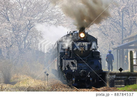春の真岡鉄道SL 88784537