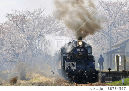 春の真岡鉄道SL 88784547