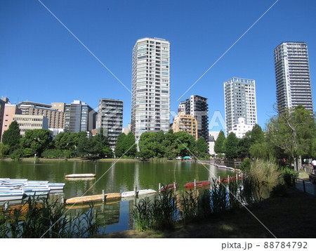上野公園の不忍池付近 88784792