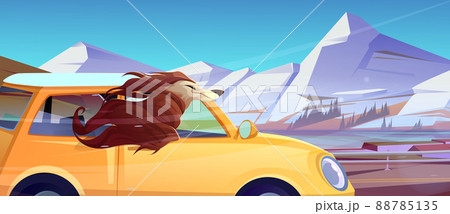 Happy dog rides in car with head out 88785135