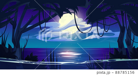 Night Ocean Landscape Full Moon And Stars Shineのイラスト素材