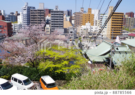 比治山公園から眺めた広島市内の景色 比治山公園から眺めた広島市内の景色 88785566