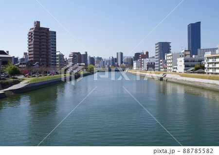 平和橋から眺めた猿猴川河畔の景色 平和橋から眺めた猿猴川河畔の景色 88785582