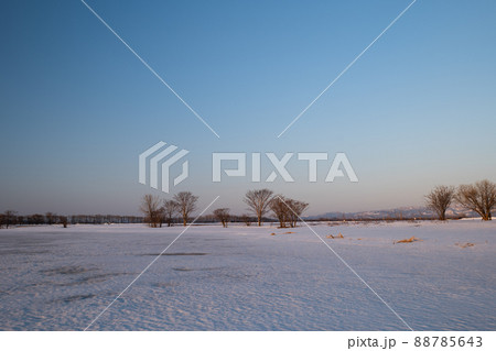 凍結した北海道宮島沼 88785643