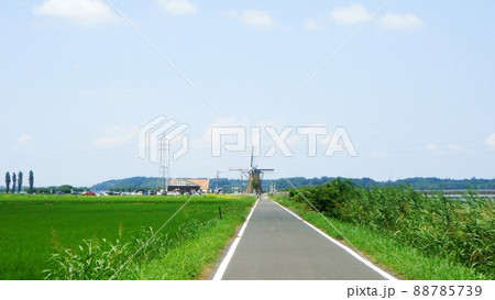 千葉の印旛沼のサイクリングロードを夏に自転車で走ると気分爽快 千葉の印旛沼のサイクリングロードを夏に自転車で走ると気分爽快 88785739