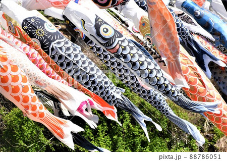 端午の節句 88786051