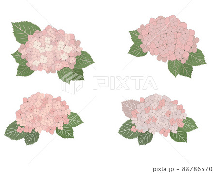 あじさいの背景イラスト　2022 88786570