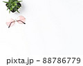 Fashion background with pink sunglasses and succulent 88786779