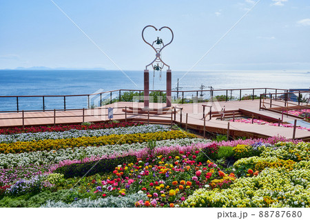 夢追い長島花フェスタ会場の花壇 88787680