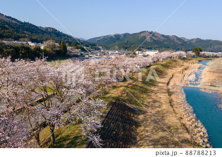 滋賀県高島市朽木の桜と安曇川を空撮 滋賀県高島市朽木の桜と安曇川を空撮 88788213