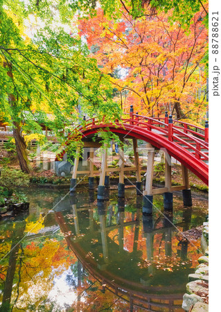 今高野山,龍華寺の紅葉(広島県世羅郡世羅町)スローシャッター 88788621