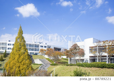 大分県立看護科学大学 88789221