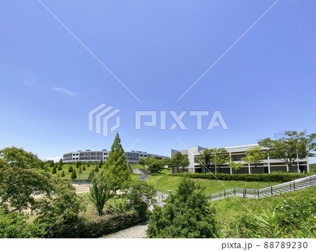 大分県立看護科学大学 大分県立看護科学大学 88789230