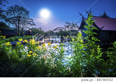 Thai houses ancient architecture for traditional residential along canal in Bangkok flower garden tree on foreground. 88790502