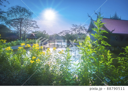 Thai houses ancient architecture for traditional residential along canal in Bangkok flower garden tree on foreground. 88790511