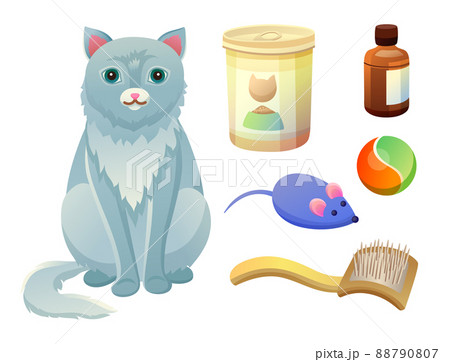 Set for Taking Care about Feline. Food for Cat 88790807