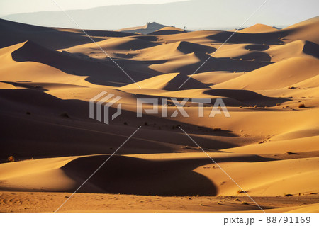 Background with sandy dunes in desert Background with sandy dunes in desert 88791169