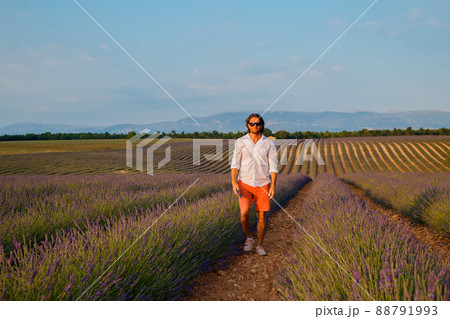 The handsome brutal man with long brunette hair is walking in the field of lavender in provence near Valensole, France, clear sunny weather, in a rows of lavender, red shorts, white shirts, blue sky The handsome brutal man with long brunette hair is walking in the field of lavender in provence near Valensole, France, clear sunny weather, in a rows of lavender, red shorts, white shirts, blue sky 88791993