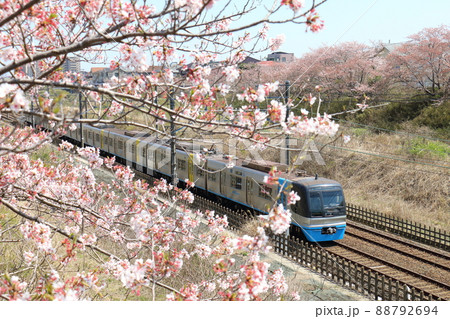 千葉県白井市付近北総線を通る住宅都市整備公団9100形電車C-Flyerシーフライヤーと満開のさくら 千葉県白井市付近北総線を通る住宅都市整備公団9100形電車C-Flyerシーフライヤーと満開のさくら 88792694