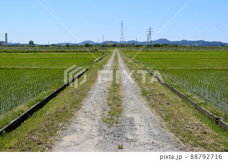 農道と田園風景 農道と田園風景 88792716