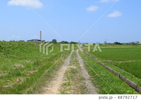 農道と田園風景 農道と田園風景 88792717