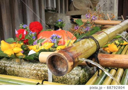 京都北野天満宮ずいき祭 令和二年十月三日 京都北野天満宮ずいき祭 令和二年十月三日 88792804