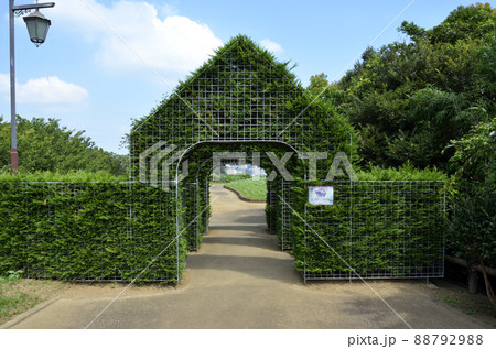 公園のゲート　ヒノキのゲート 88792988
