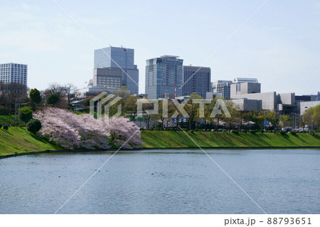 3095　桜田壕 88793651