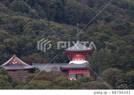 長野市街 長野市街 88794391
