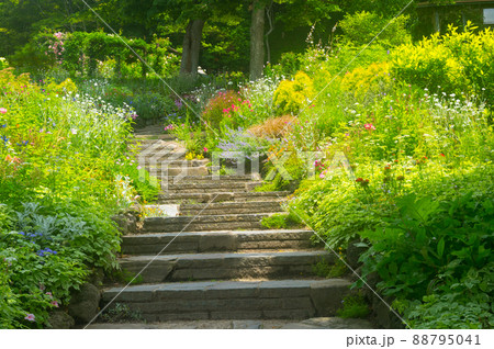 《神戸市》山間部に位置する植物園 布引ハーブ園/ 88795041
