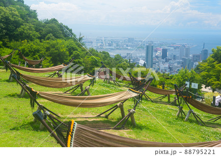 《神戸市》山間部に位置する植物園 布引ハーブ園/ 88795221