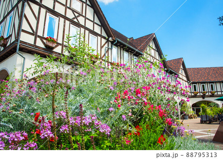 《神戸市》山間部に位置する植物園 布引ハーブ園/ 88795313