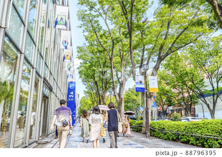 東京渋谷の都市風景 表参道 東京渋谷の都市風景 表参道 88796395