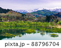 雪解けの湖 88796704
