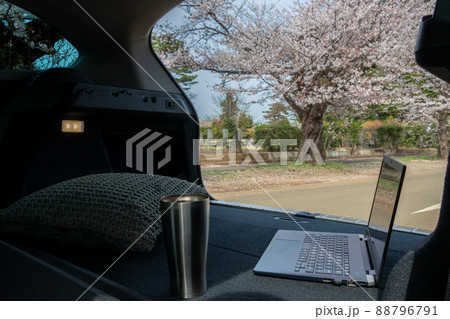 車中でのテレワーク 桜をながめながら 車中でのテレワーク 桜をながめながら 88796791