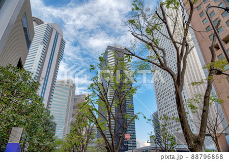 東京都新宿区西新宿の都市景観 88796868