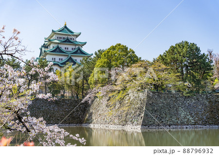 名古屋城と桜とお堀　北側から 88796932