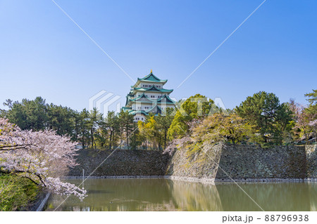 名古屋城と桜とお堀　北側から 88796938