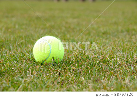 テニスボール, 球, スポーツ, テニス, 球技, ボール, 運動, 玉, コート, 試合, 趣味 テニスボール, 球, スポーツ, テニス, 球技, ボール, 運動, 玉, コート, 試合, 趣味 88797320