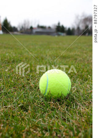 テニスボール, 球, スポーツ, テニス, 球技, ボール, 運動, 玉, コート, 試合, 趣味 88797327